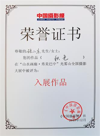 合川区摄影家协会2020年度会员作品获奖、入选近200幅